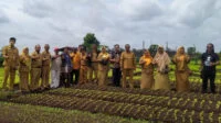 Kampung Gambut Siantan Hilir Berbenah, Kreasi Sungai Putat: Berbagai Potensi Ada di Sini