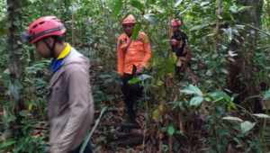 Kepala SAR Pontianak: Seorang Perempuan Tunawicara Hilang di Kawasan Hutan Kubu Raya