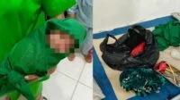 Bayi Terbungkus Plastik Ditemukan Dalam Kondisi Hidup Di Serdam, Polisi Buru Pelaku Pembuangan