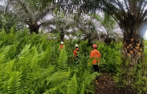 Pencarian Petani Karet yang Hilang di Sungai Asam Kubu Raya Dihentikan. Foto/istimewa. 