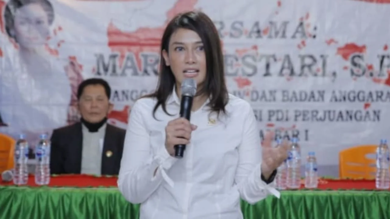 Maria Lestari, Anggota Komisi IV DPR RI Dapil Kalbar Satu