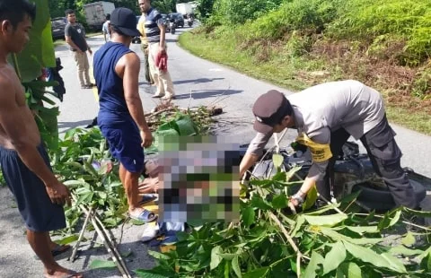 Wanita 23 Tahun Tewas dalam Kecelakaan Maut di Jalan Trans Kalimantan