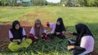 Srikandi Ganjar Kalbar Bersama Milenial Kapuas Hulu Sulap Daun Nyiur jadi Produk Bernilai