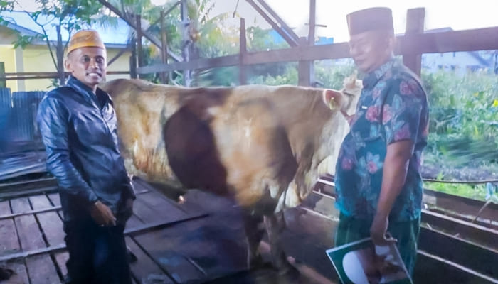 Serah terima sapi dari bapak Oesman Sapta Odang (OSO) melalui Ketua Bapilu Hanura Kalbar H. Suib, M.Si kepada Ketua PCNU Kota Pontianak Drs. H. Faruki, M.Pd, pada Rabu, 28 Juni 2023.