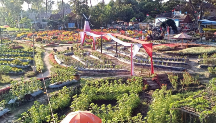 Magelang Agrowisata