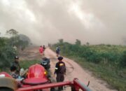Kebakaran Hutan Di Kubu Raya, Polisi Lakukan Penyelidikan Maksimal