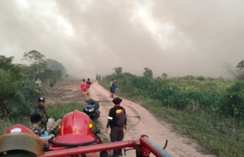 Kebakaran Hutan Di Kubu Raya Bermunculan, Polisi Lakukan Penyelidikan Maksimal