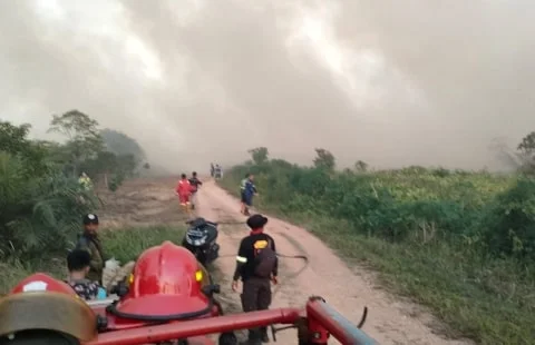 Kebakaran Hutan Di Kubu Raya, Polisi Lakukan Penyelidikan Maksimal. Foto/Istimewa. 