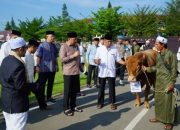 Idul Adha 2024, Polda Kalbar dan Polres Jajaran Salurkan 135 Ekor Sapi dan 134 Ekor Kambing