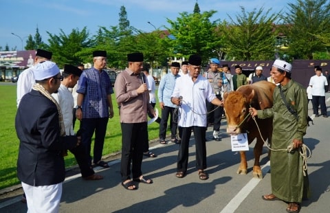 Idul Adha 2024, Polda Kalbar dan Polres Jajaran Salurkan 135 Ekor Sapi dan 134 Ekor Kambing