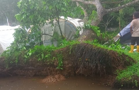 Pohon Tumbang Timpa Perkemahan Relawan Taman Agrowisata Rekadena, 1 Tewas 2 Cedera