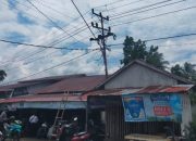 Tersengat Listrik Tegangan Tinggi, Petugas PLN Dirawat Intensif di Rumah Sakit