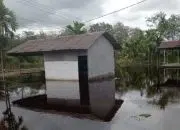 Ratusan Rumah Warga Desa Sungai Segak Terendam Banjir, Ketua Gerakan Pemuda Berharap Bantuan Pemerintah