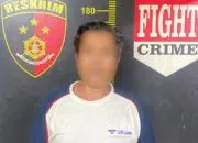 Bawa 204 Batang Kayu Ilegal, Supir Truk di Kubu Raya Dijerat Dua Kasus