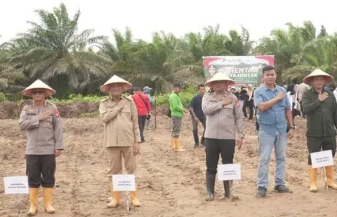 Pj Bupati Syarif Kamaruzaman: Kubu Raya Dukung Penanaman Jagung Untuk Ketahanan Pangan. Foto/Istimewa. 