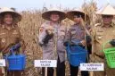 Kapolda Kalbar Tanam Jagung Serentak 1 Juta Hektare di Bengkayang. Foto/Istimewa. 