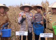 Kapolda Kalbar Tanam Jagung Serentak 1 Juta Hektare di Bengkayang