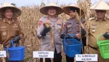 Kapolda Kalbar Tanam Jagung Serentak 1 Juta Hektare di Bengkayang. Foto/Istimewa. 