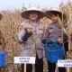 Kapolda Kalbar Tanam Jagung Serentak 1 Juta Hektare di Bengkayang