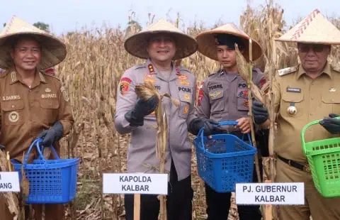 Kapolda Kalbar Tanam Jagung Serentak 1 Juta Hektare di Bengkayang. Foto/Istimewa. 