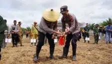 Polres Kubu Raya Laksanakan Tanam Jagung Secara Serentak di 8 Lokasi. Foto/Istimewa. 