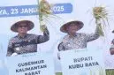 Pj Bupati Kubu Raya Ikut Panen di Kuala Mandor B. Foto/Istimewa. 