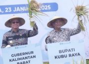 Pj Bupati Kubu Raya Ikut Panen di Kuala Mandor B