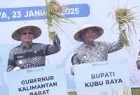 Pj Bupati Kubu Raya Ikut Panen di Kuala Mandor B. Foto/Istimewa. 