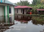 Banjir Parah Rendam Puluhan Rumah di Desa Sungai Segak, Aktivitas Warga Lumpuh