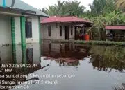 Banjir Parah Rendam Puluhan Rumah di Desa Sungai Segak, Aktivitas Warga Lumpuh