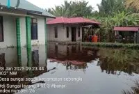 Banjir Parah Rendam Puluhan Rumah di Desa Sungai Segak, Aktivitas Warga Lumpuh. Foto/Istimewa. 