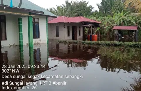 Banjir Parah Rendam Puluhan Rumah di Desa Sungai Segak, Aktivitas Warga Lumpuh. Foto/Istimewa. 