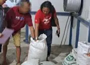 Polres Sanggau Amankan 5 Karung Sisik Trenggiling: Satu Pelaku di Amankan