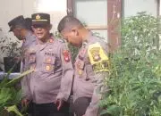 Program Ketahanan Pangan, Kapolsek Pontianak Utara Bersama Lakukan Perawatan Tanaman