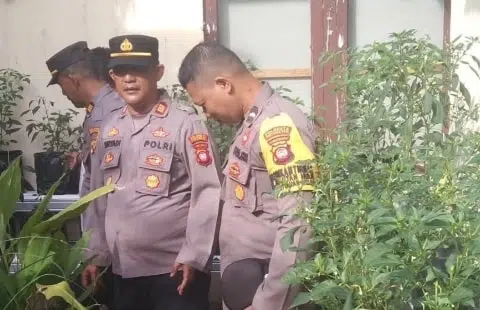 Program Ketahanan Pangan, Kapolsek Pontianak Utara Bersama Lakukan Perawatan Tanaman