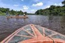 Anak 6 Tahun Diterkam Buaya di Sungai Simpang Aur, Pencarian Masih Berlangsung. Foto/Istimewa. 