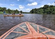 Anak 6 Tahun Diterkam Buaya di Sungai Simpang Aur, Pencarian Masih Berlangsung