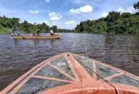 Anak 6 Tahun Diterkam Buaya di Sungai Simpang Aur, Pencarian Masih Berlangsung. Foto/Istimewa. 