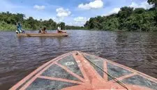 Anak 6 Tahun Diterkam Buaya di Sungai Simpang Aur, Pencarian Masih Berlangsung. Foto/Istimewa. 