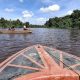 Anak 6 Tahun Diterkam Buaya di Sungai Simpang Aur, Pencarian Masih Berlangsung