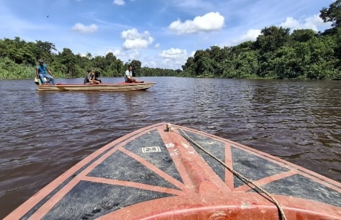 Anak 6 Tahun Diterkam Buaya di Sungai Simpang Aur, Pencarian Masih Berlangsung