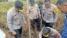 Polres Kubu Raya Dukung Ketahanan Pangan, Lahan 300 Hektare Siap Digarap. Foto/Istimewa. 