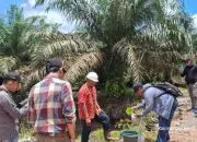 PT Ichiko Agro Lestari Tak Terbukti Cemari Lingkungan