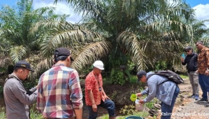 PT Ichiko Agro Lestari Tak Terbukti Cemari Lingkungan