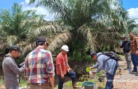 PT Ichiko Agro Lestari Tak Terbukti Cemari Lingkungan