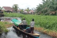 Pria Hilang Saat Mencari Ikan, BPBD dan Polisi Sisir Sungai Landak. Foto/Istimewa. 