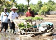 Kota Pontianak Targetkan Produksi 800 Ton Padi Pertahun