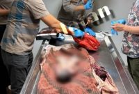 Penemuan Mayat Bayi Gegerkan Warga Pontianak Tenggara, Polisi Lakukan Olah TKP. Foto/Istimewa. 