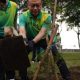 Wali Kota Pontianak Edi Kamtono Tanam Pohon Ketapang Kencana di Taman Surabaya