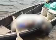 Nelayan di Sungai Kakap Ditemukan Meninggal di Atas Sampan